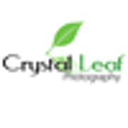 Crystal Leaf Photography