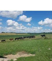 Walnut Acres Family Farm