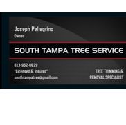 South Tampa Tree Service