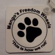 Mango’s Freedom Wheels