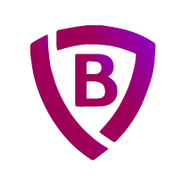 Brandeis Training Solutions