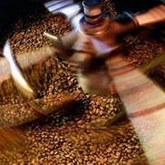 Indigo Coffee Roasters