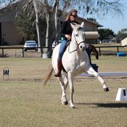 tao of horsemanship