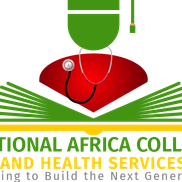 National Africa College Online School