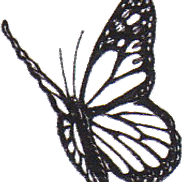 Butterfly LCSW PC - Clinical Social Work Practice