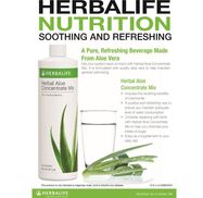 Herbalife Independent Distributor