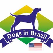 Dogs in Brazil, Inc.