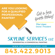 Skyline Services llc