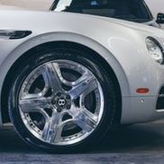 Palomino Motors