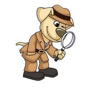 CompuFACT Background Checks