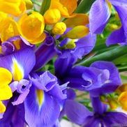 Setauket Floral Design