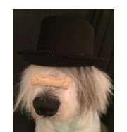 Kate Powell BA, BS, ABCDT, CPDT-KA, CTDI  Sheepdog Inc. DBA Thinking Dog Academics
