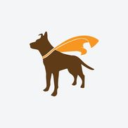 Jill Potter - Dog Trainer & Behavior Modification