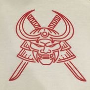 Boss Thai Boxing & Fitness
