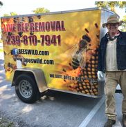 Beeswild.com