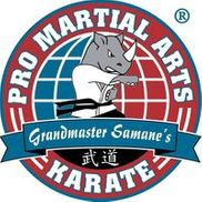PRO Martial Arts Bridgeville