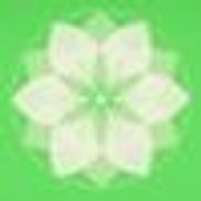 Secrets of Natural Walking Center of Asheville, Asheville NC