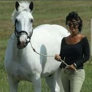 Blue Ridge Stables Inc