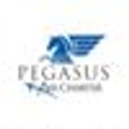 Pegasus Air Charter, LLC