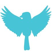 Songbird Rising Suzuki School