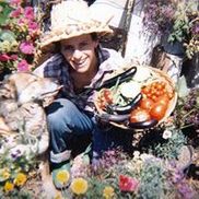 Shirley's Wellness Cafe