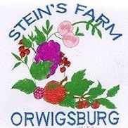 Stein's Farm Market