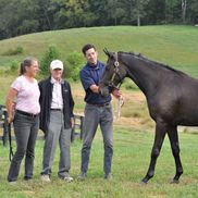 Justa Farm Racehorse Partnerships & Farmer's Market