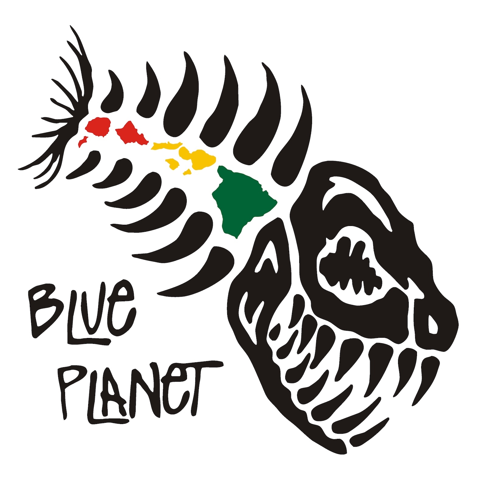 Blue Planet Surf, Honolulu HI