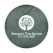 Stewart's Tree Service