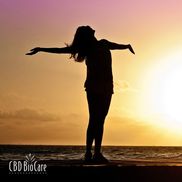 CBD Bio Care