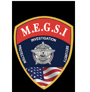 Metropolitan Enforcement Group & Special Investigations LLC