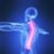 Yandell Chiropractic Clinic