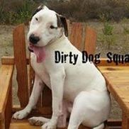 Dirty Dog Squad