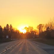 Sunshine Life Coaching