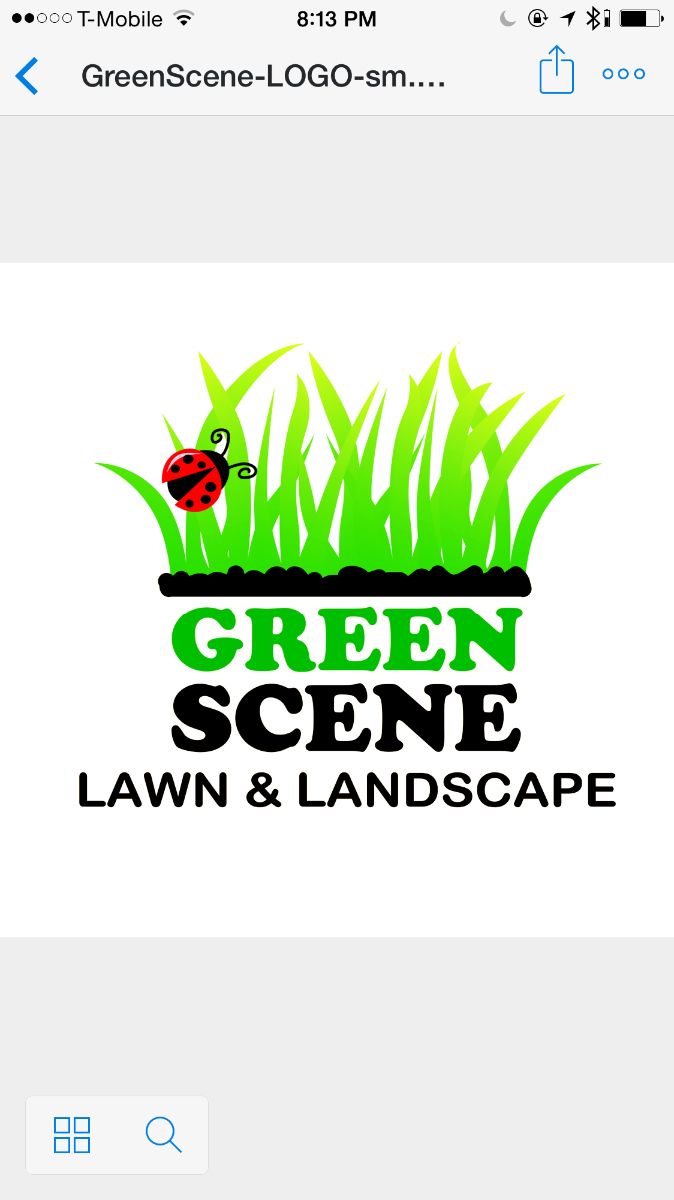 Greenscene Lawn & Landscape LLC, Holiday FL