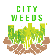 City Weeds