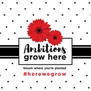 Ambition Performing Arts Inc.