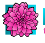 In Bloom