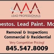 AAA LEAD PROFESSIONALS NY