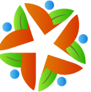 Vibrant Aging Solutions