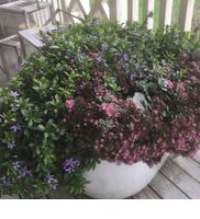 The Cultivated garden co