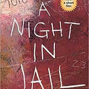 ANightInJail.com
