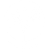 Tree of Stars