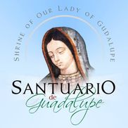 shrine of our lady of guadalupe des plaines il