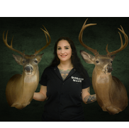 MorgueMade Taxidermy