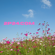 Paulette's Phenomenal Place