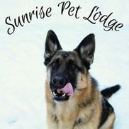 Sunrise Pet Lodge