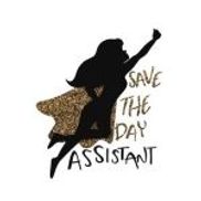 Save The Day Assistant