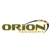 Orion Taxidermy and Rigel Logistics