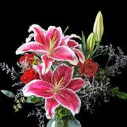 Judy's Central Point Florist